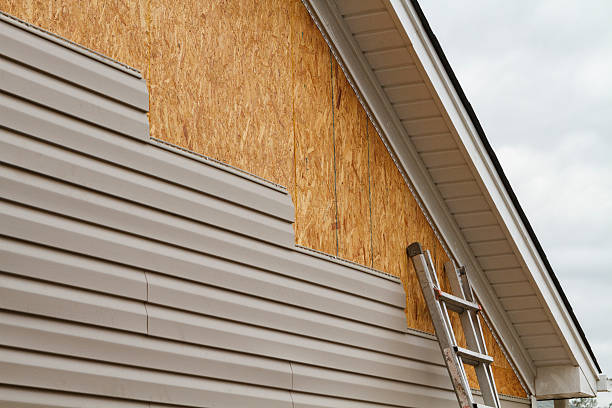Professional Siding Inspection technician working in Huntsville, TN